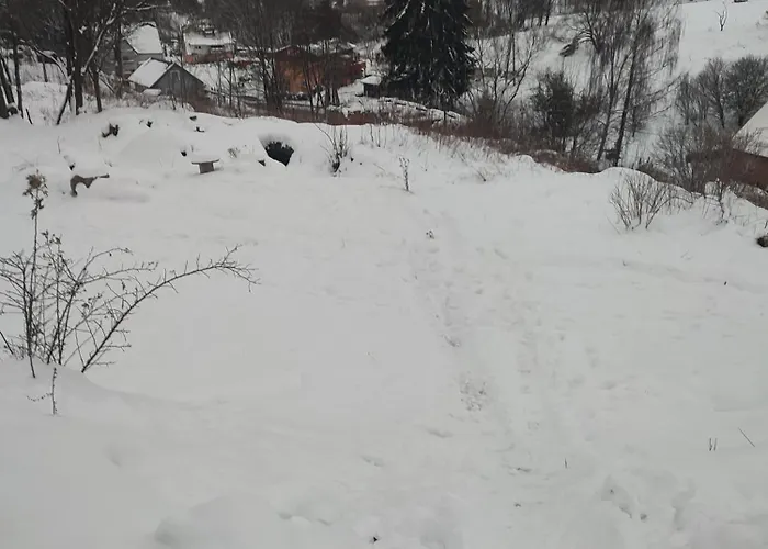 Alpesi faház Dzika Polana *