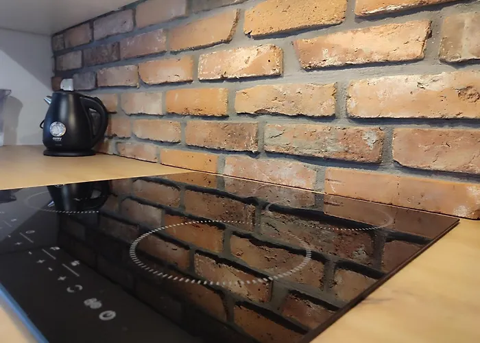 Dzika Polana Duszniki Zdrój